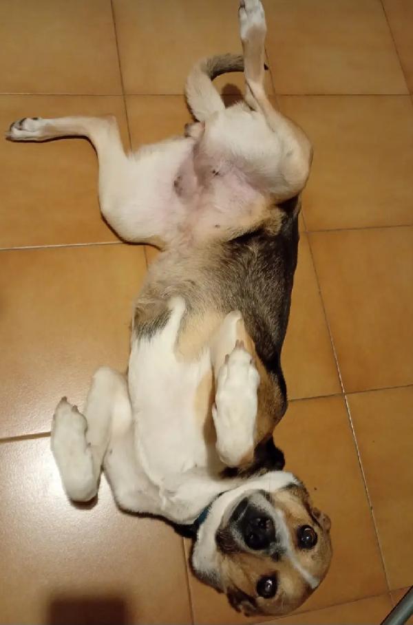 Sally 9anni,tranquilla, NON LA VOGLIONO +! MILANO Foto 2